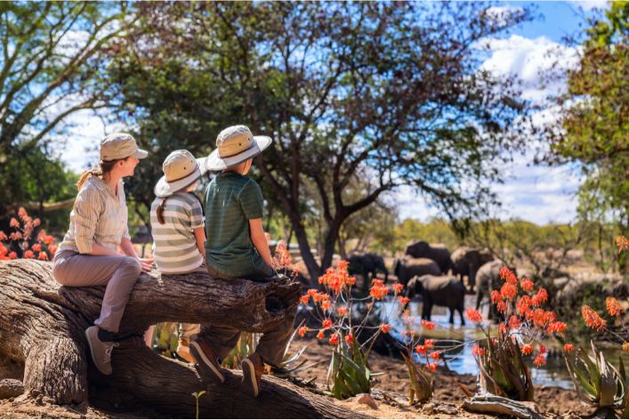 Enjoying Nigerian Nature: Family-Friendly Parks