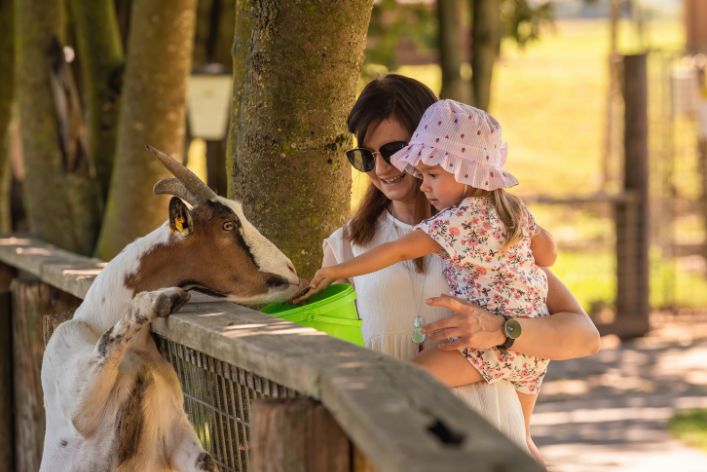 Lagos Zoo: A Comprehensive Parental Guide and Tips